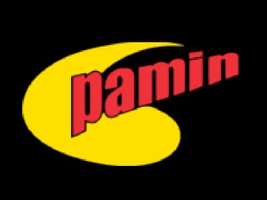 Pamin